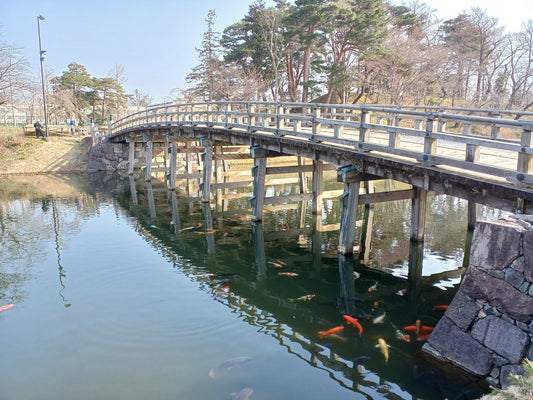 仕事前に高田公園