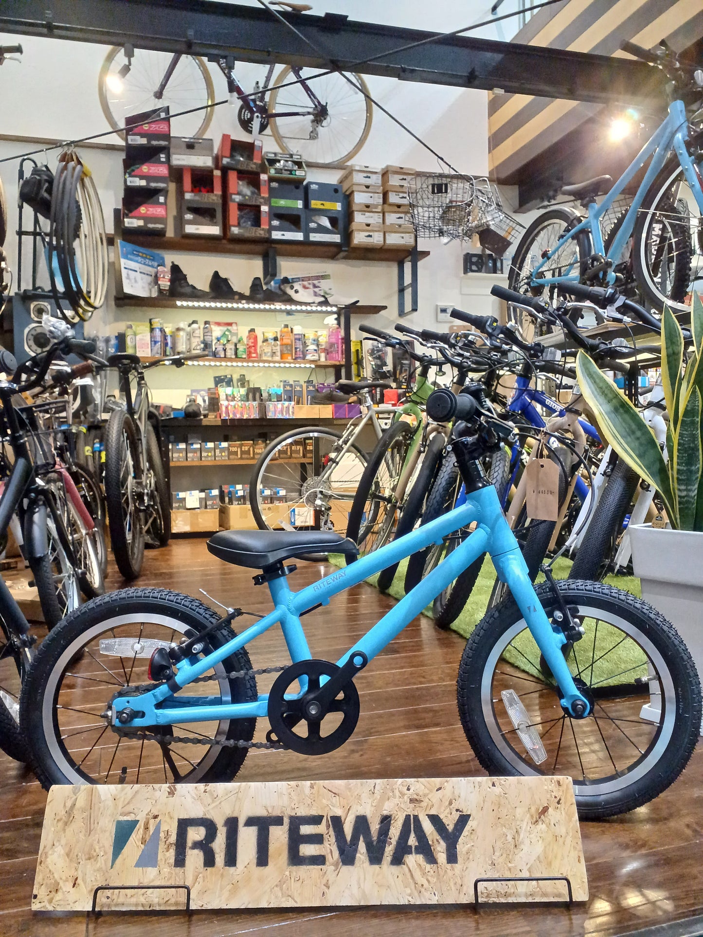 2025 RITEWAY ZIT 16 ライトウェイ ジット 16 スカイブルー