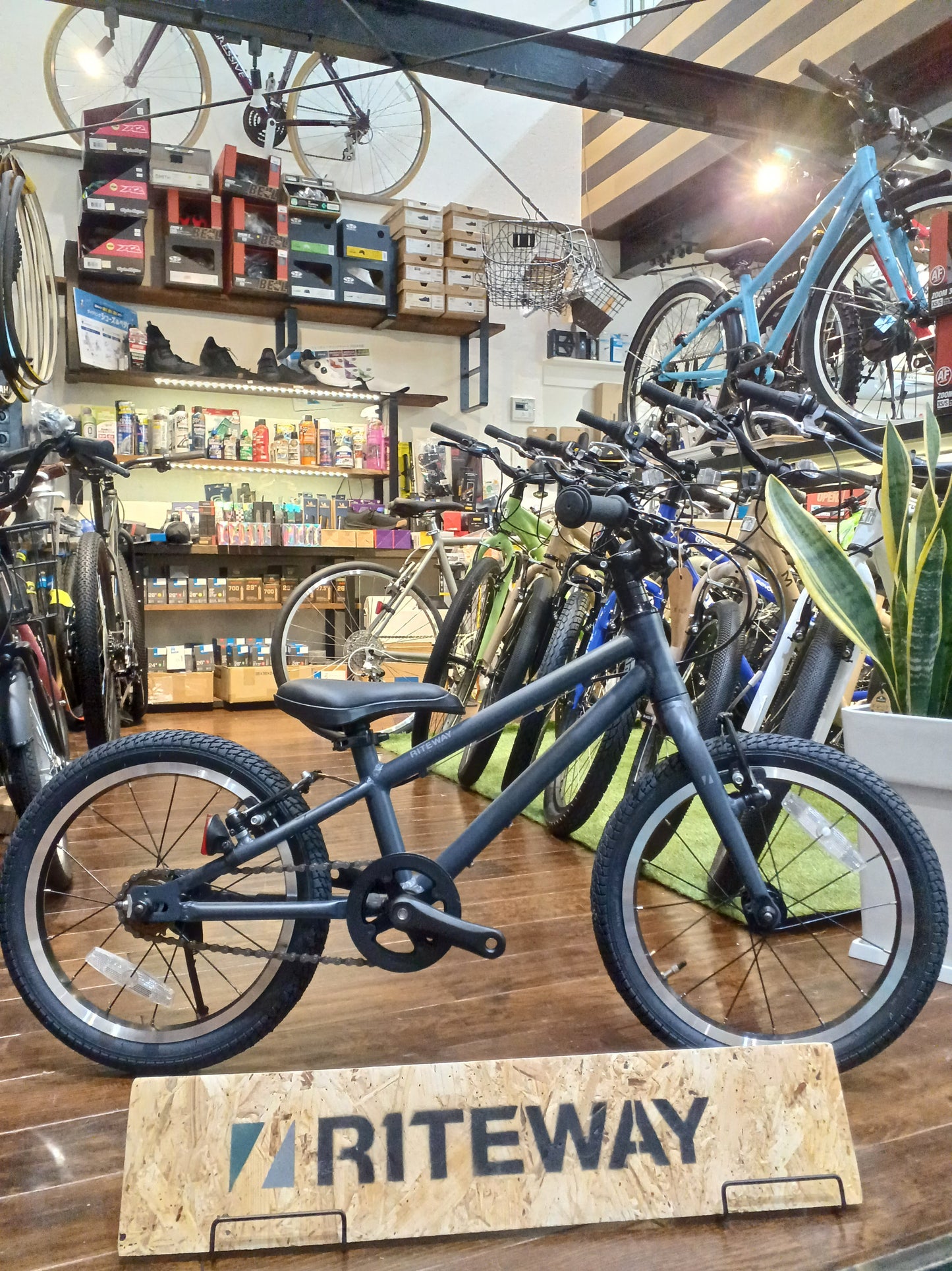 2025 RITEWAY ライトウェイ ZIT 18 ジット 18 ブラック 102-120cm 18インチ