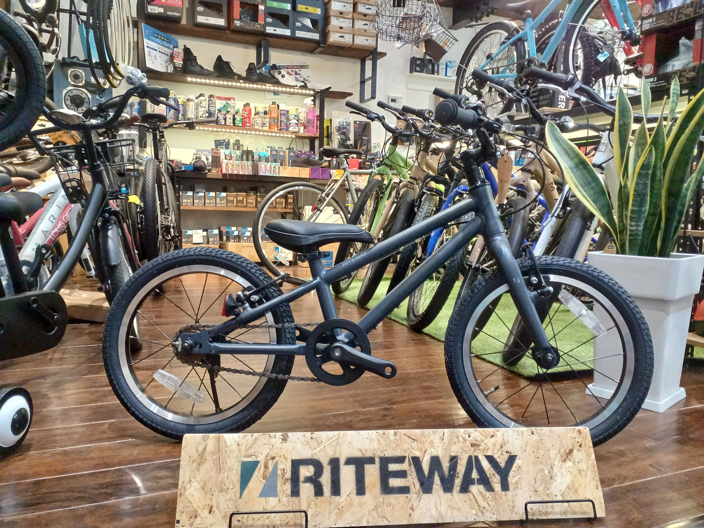 2025 RITEWAY ライトウェイ ZIT 18 ジット 18 ブラック 102-120cm 18インチ
