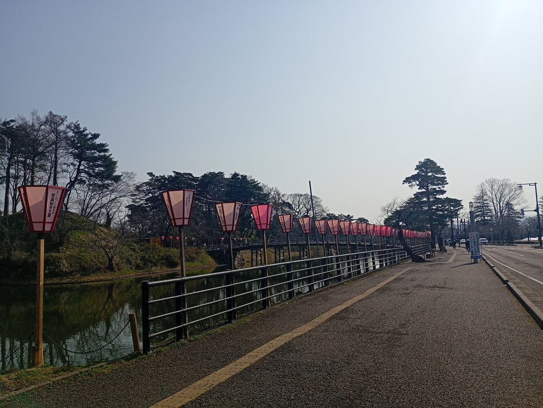 高田城址公園は「日本さくら名所100選」新潟県屈指の桜の名所へサイクリング