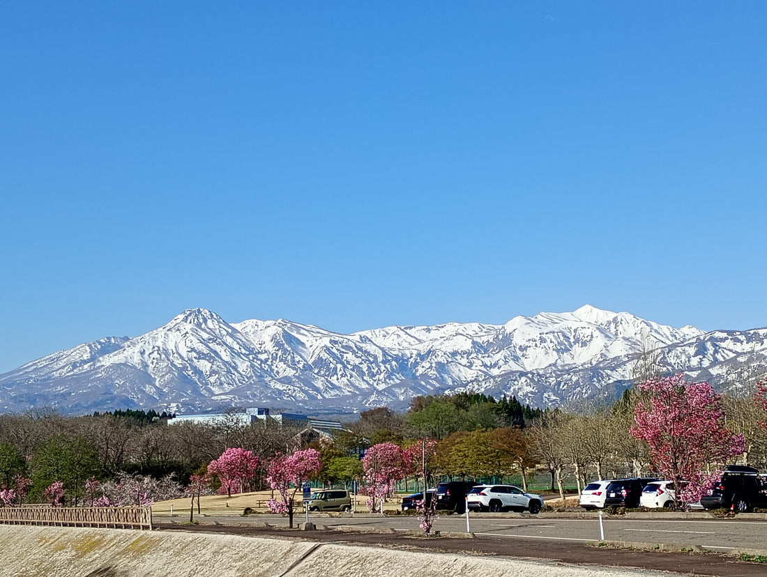 妙高市は澄みきった空気に包まれ春の訪れ